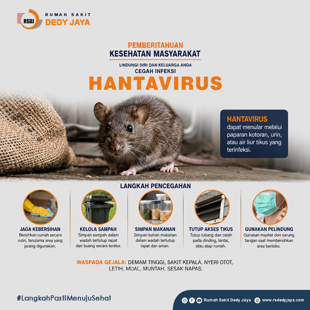 Hantavirus Mengintai! Kenali gejala awalnya
